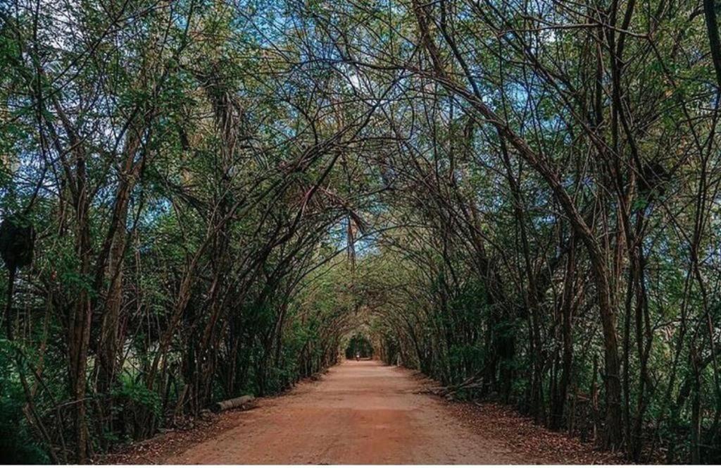 Maré Suítes Patacho Pôrto de Pedras Exterior foto
